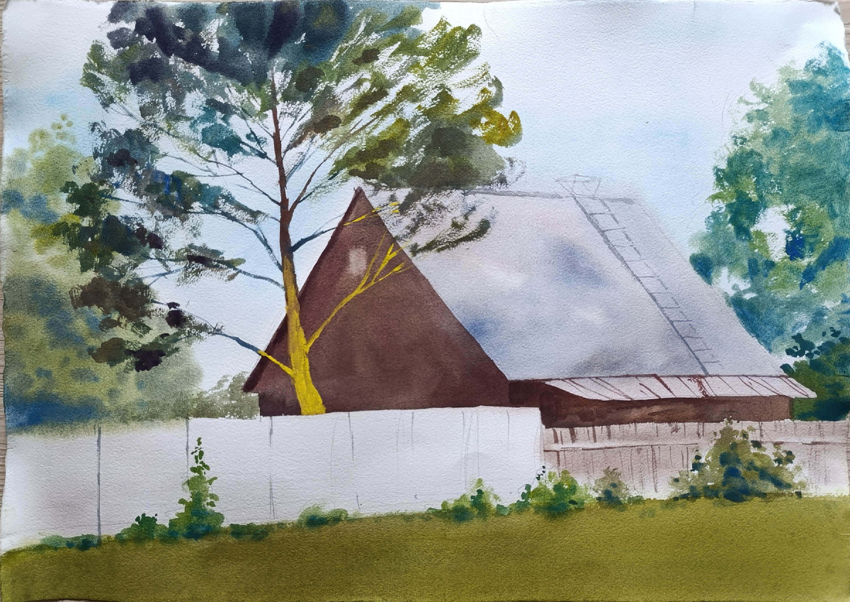 Старая сосна