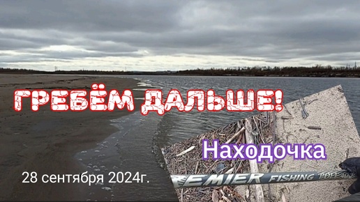 Гребём дальше! 28 сентября 2024г.