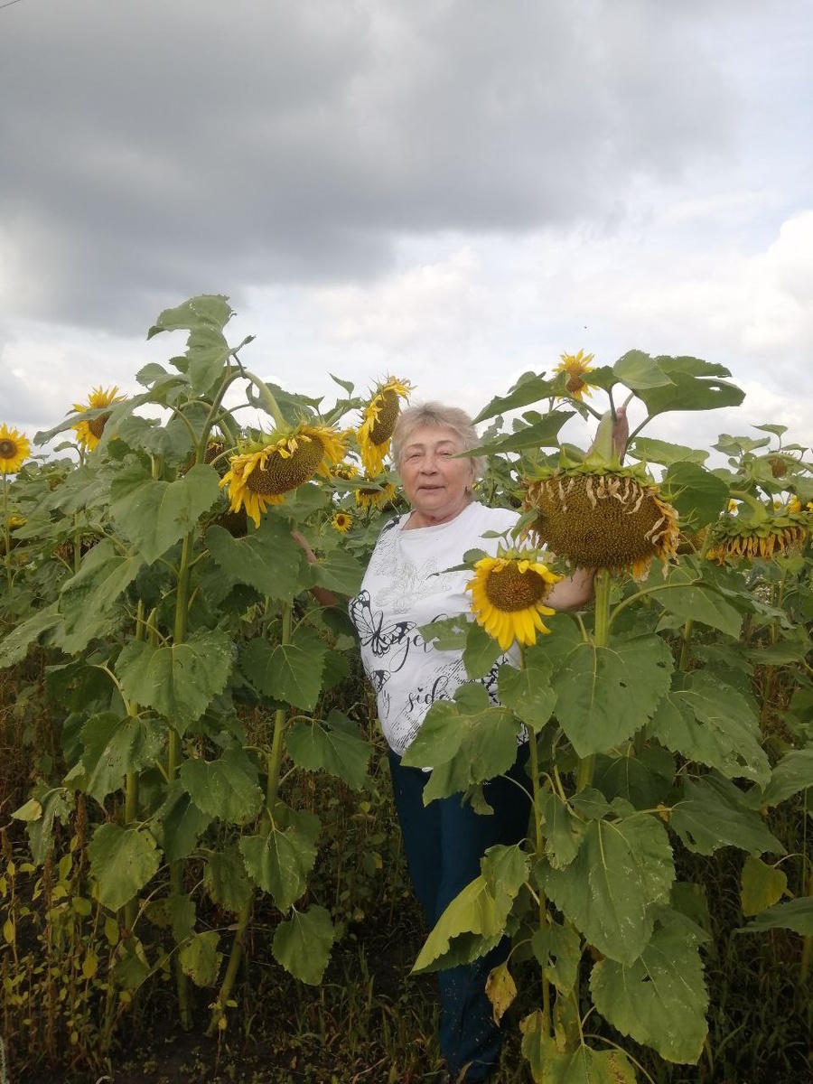 Ни один подсолнух при фотосессии не пострадал.