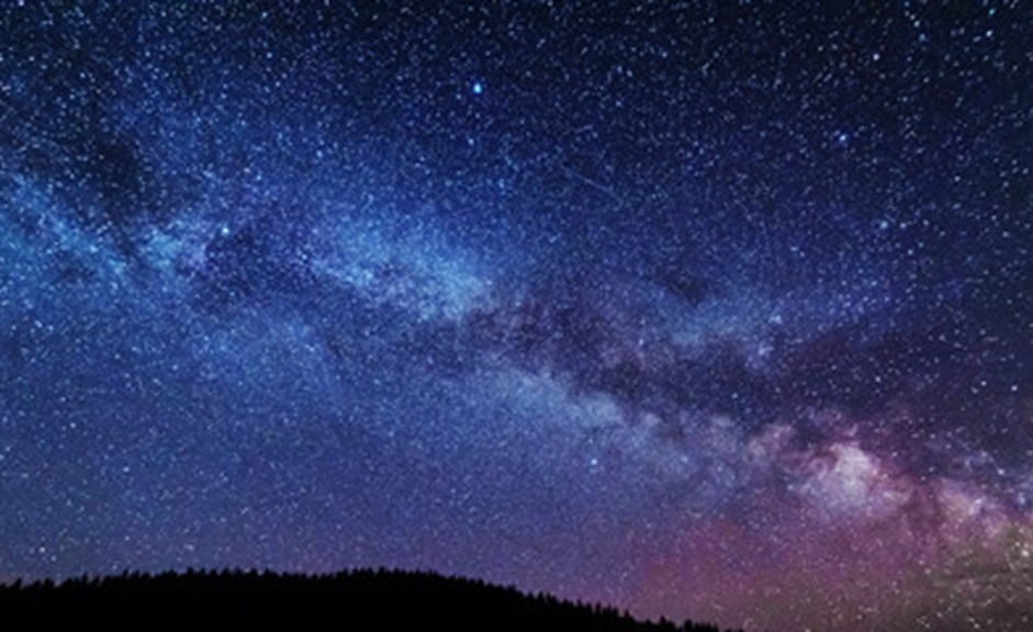 фото: stock.adobe.com