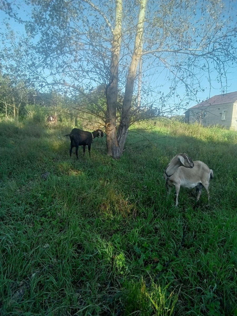 Фото автора.