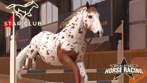 КНАБСТРУППЕРЫ! Раведение, конкур и прогулка Rival Stars Horse Racing