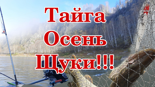 Тайга.Осень.Щуки!!!