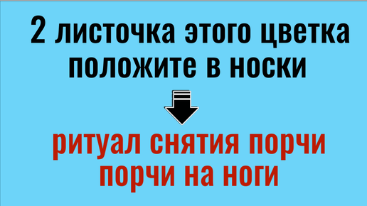 Положите в носки 2 листочка этого цветка - уйдёт порча с ног и усталость