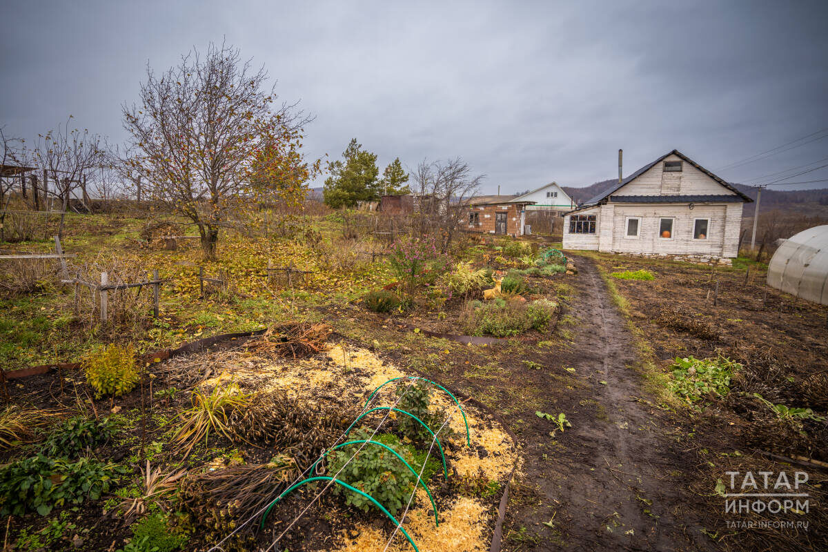 ​Нужно подготовить опустевшие гряды к зиме. Фото: © Владимир Васильев / «Татар-информ»