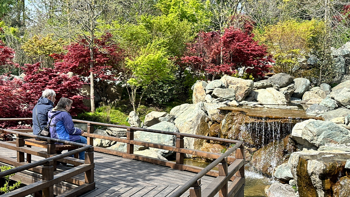 Погода в Краснодаре)