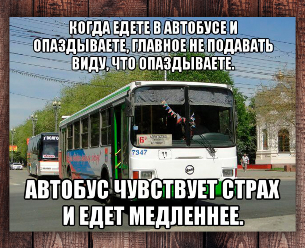 Автобус не ездит по расписанию. Автобус. Автобус не ездит по расписанию. Автобус не ездит по расписанию. Автобус не ездит по расписанию.