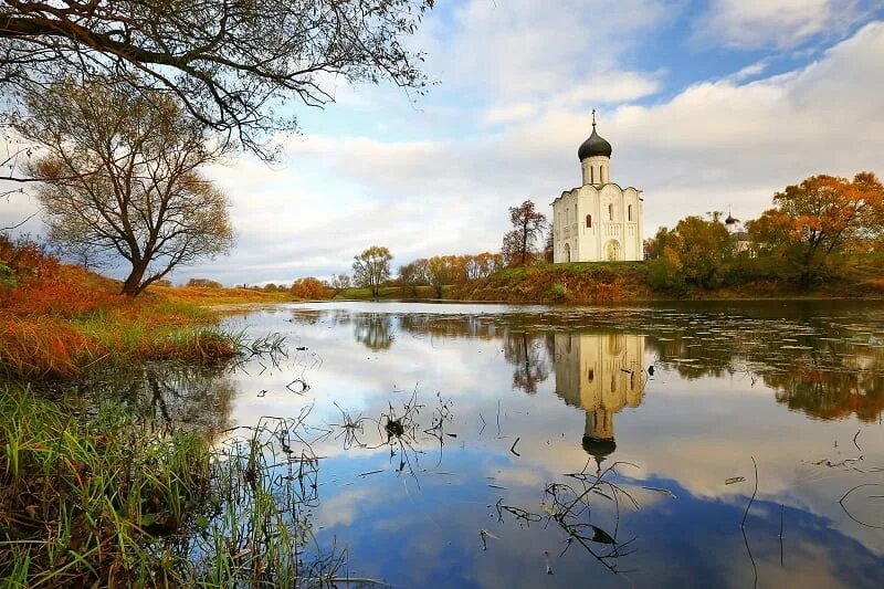Источник фото: Яндекс Картинки