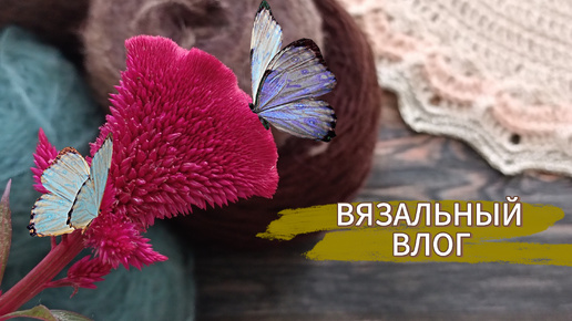 Мои ПЛАНЫ меня укутывают 🧶🧶🧶 ПРОЦЕССЫ 🧶