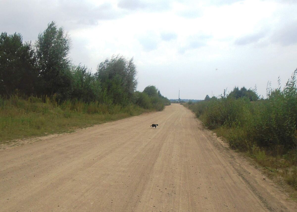 Фото, сделанное в первые дни.