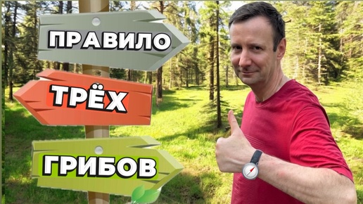 ПРАВИЛО ТРЕХ ГРИБОВ РАБОТАЕТ!🔥 💥НАШЁЛ новый вид - ГРИБЫ-ЛОКАТОРЫ💥! Грибы 2024