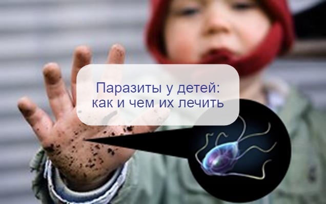 Лямблии и глисты у детей – как их определить и что делать для того, чтобы их вывести: рассказывает врач