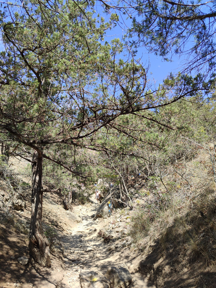 А это "козья тропа" на царский пляж (листайте). Желтое пятно на камне внизу видите? Эти знаки по всей тропе. Чтобы не заблудиться : )