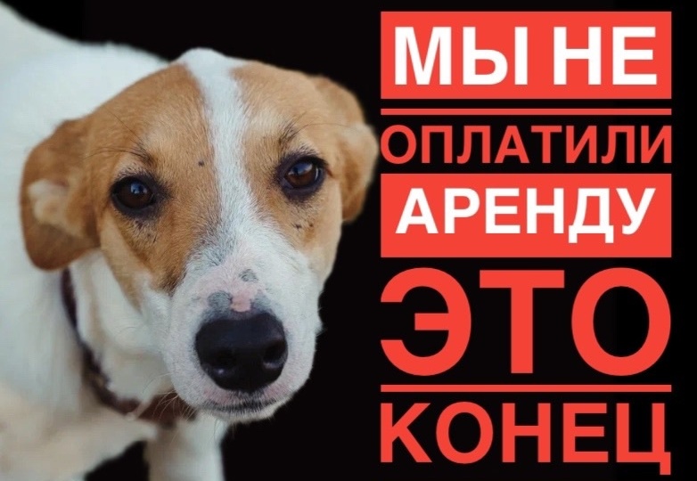 ‼️😱МЫ НЕ СОБРАЛИ НА АРЕНДУ, осталось 24 часа!