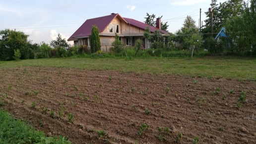 Последняя работа на огороде.