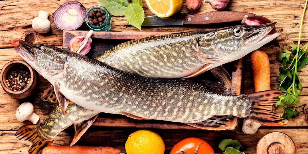 Щука холодного копчения — читать на Gastronom.ru