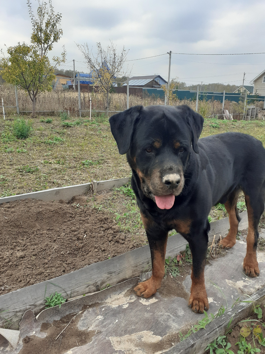 Наблюдение за процессом.......