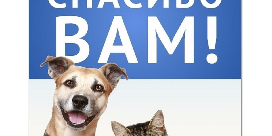 Проблемы в людях -