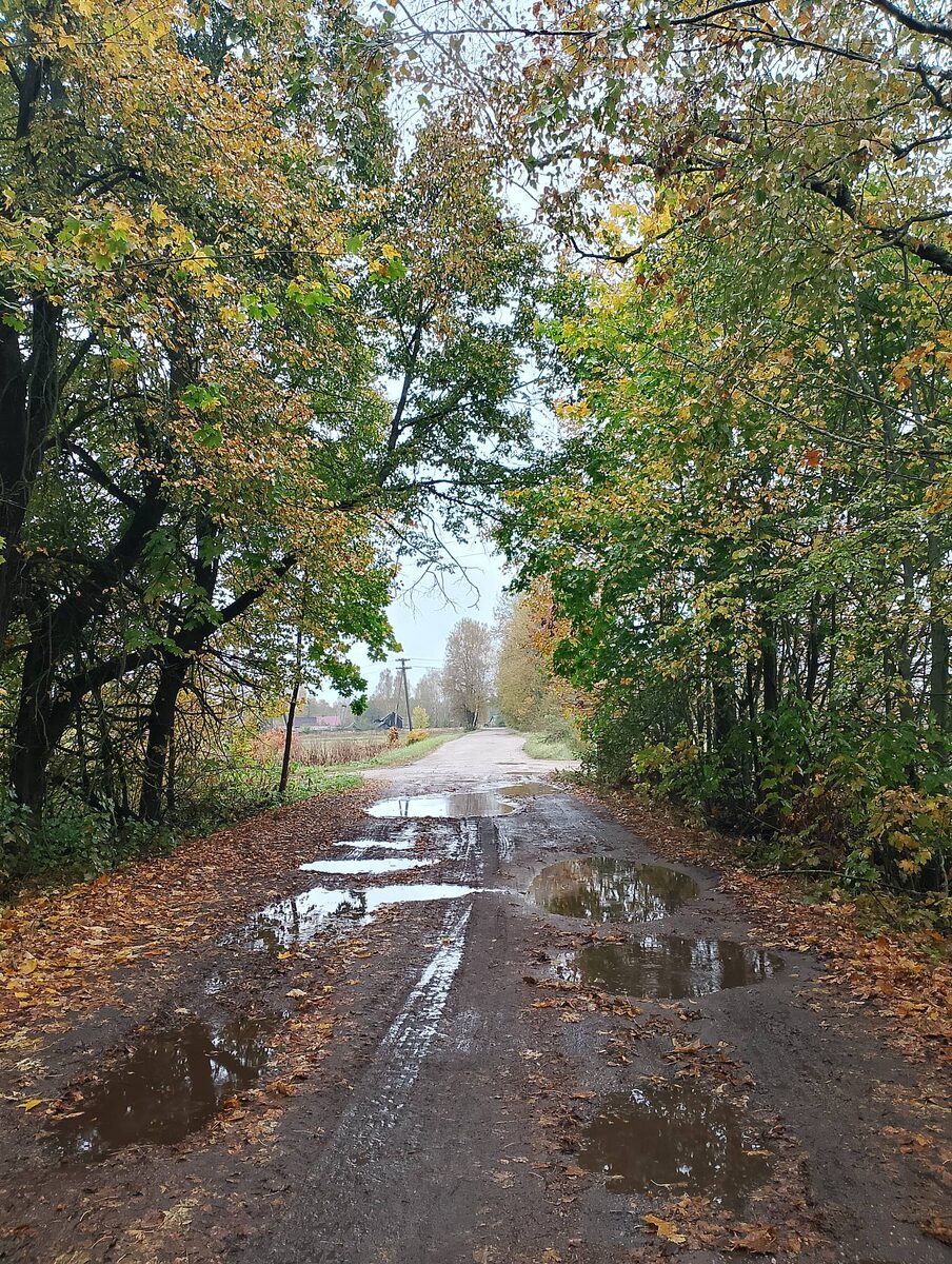 Лучше смотреть на то, что есть потому, что это красиво. По крайней мере.