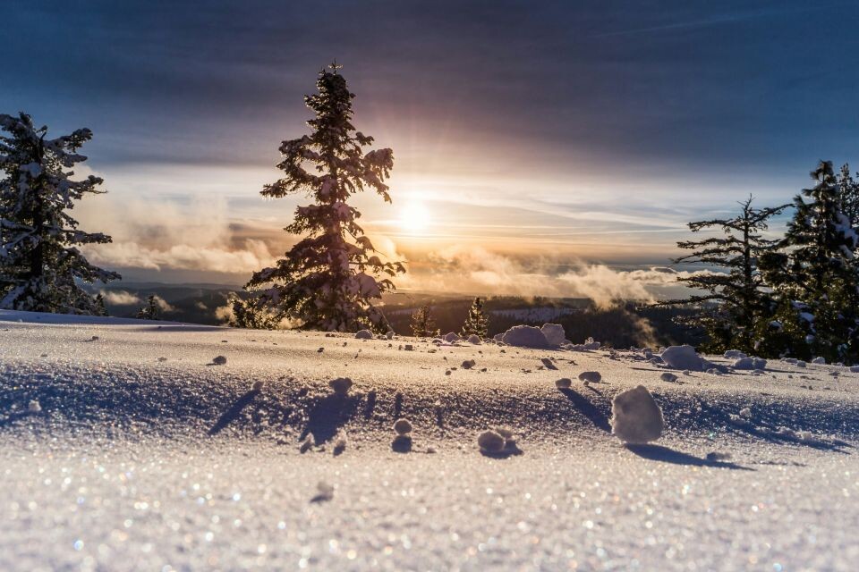    Погода. Зима. Солнце. Источник: unsplash.com