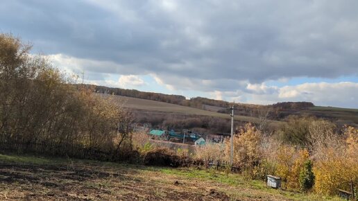 Интервью не будет. Осень в саду.