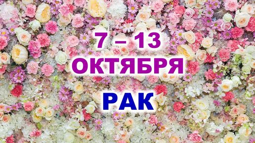 ♋ РАК. 🌹 С 7 по 13 ОКТЯБРЯ 2024 г. 🌷 Таро-прогноз 🌸