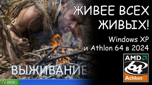 Стрим! Живее всех живых - Windows XP и Athlon 64 в 2024