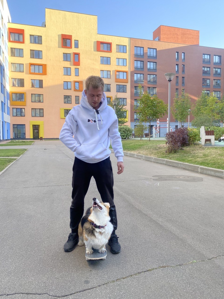 Алексей Дейнека - основатель школы Dog-system