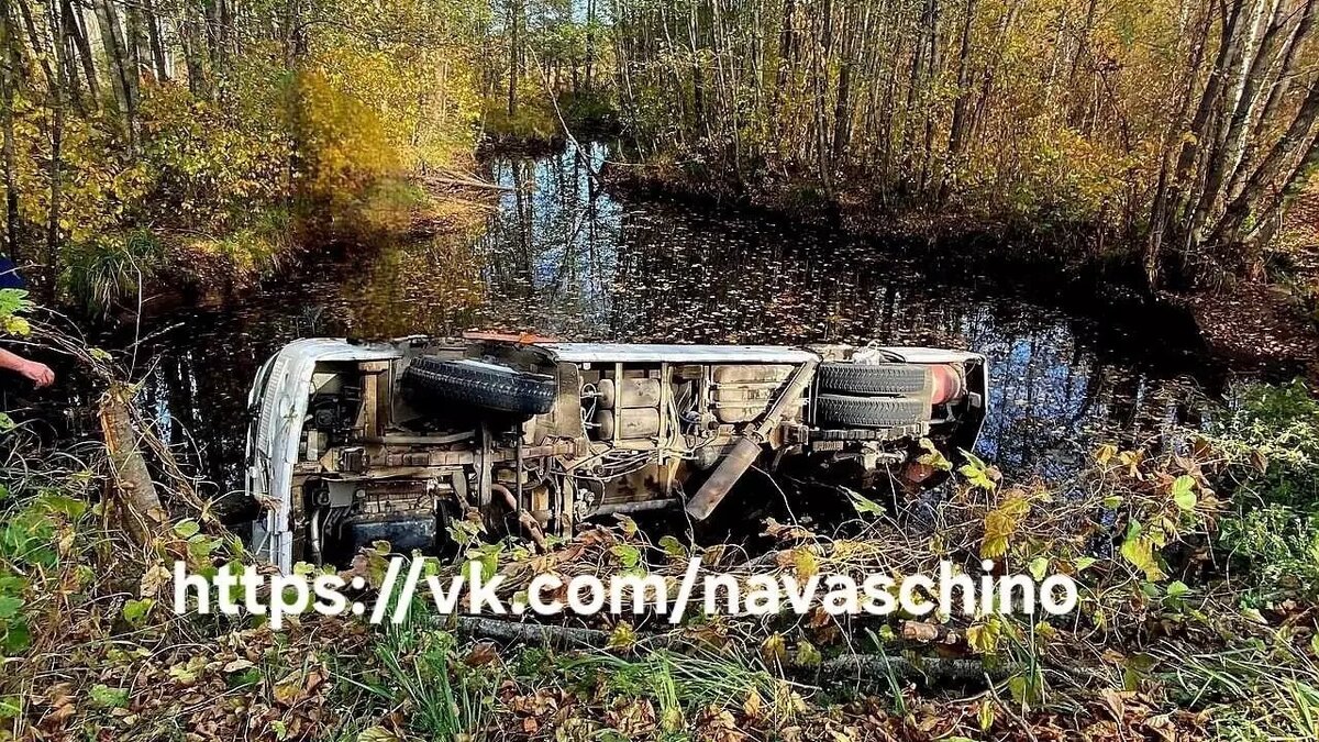     Источник: https://vk.com/navaschino