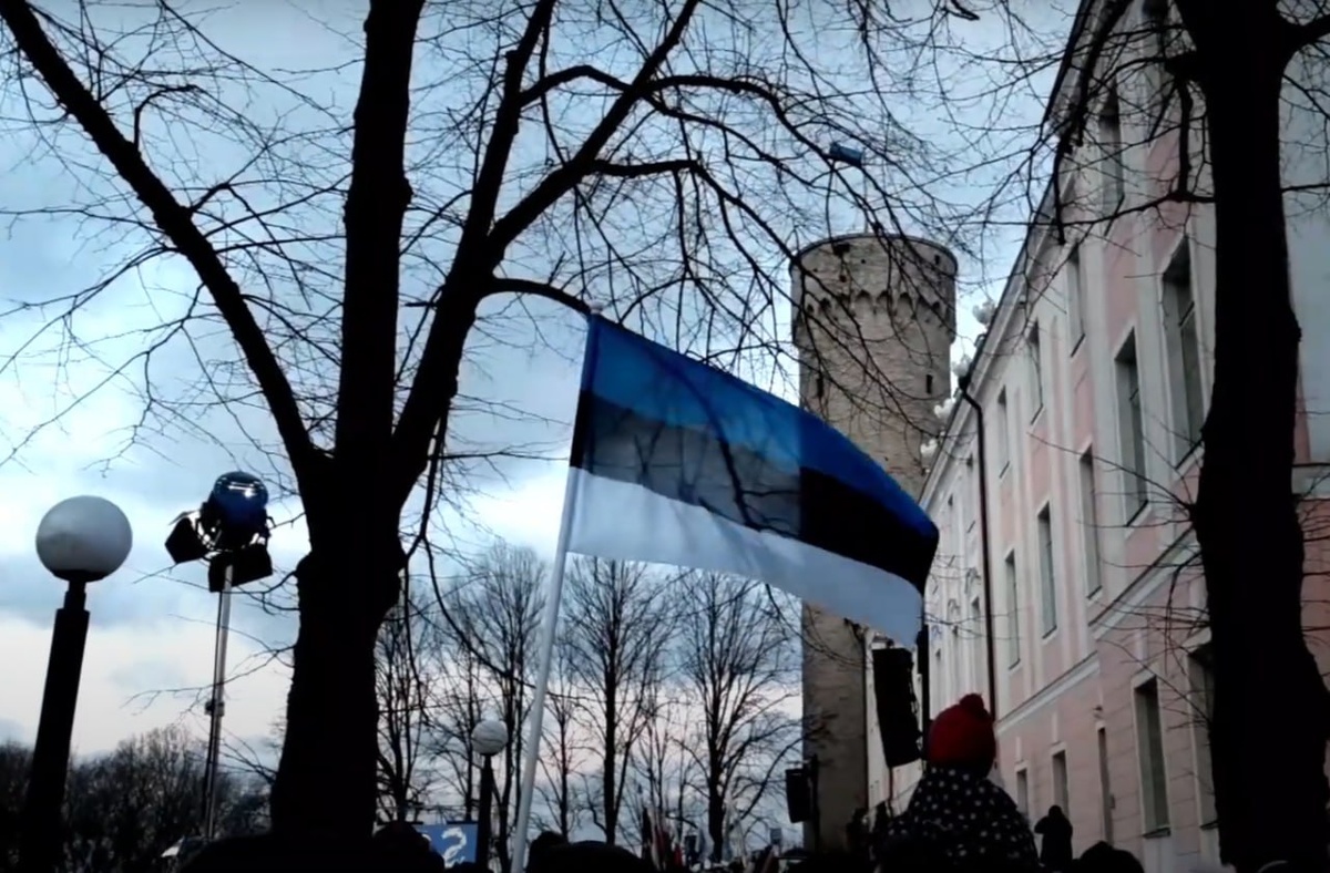 Фото: Prt Scr youtube.com / DroneCam 