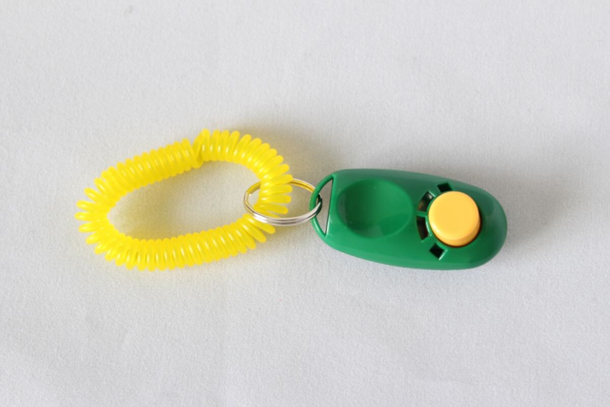 Кликер для кошек