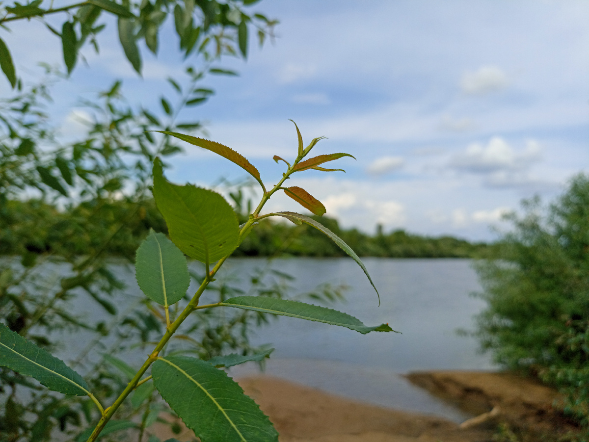 На берегу Днепра. Листайте галерею