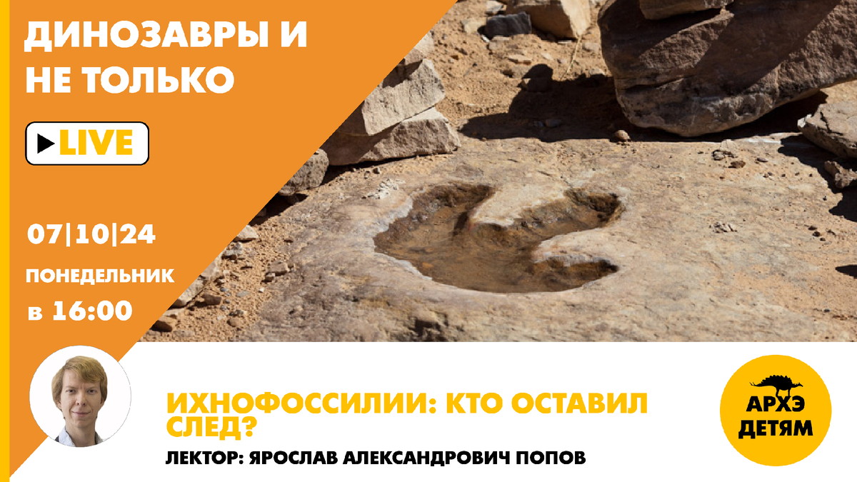 Очередной эфир рубрики "Динозавры и не только"