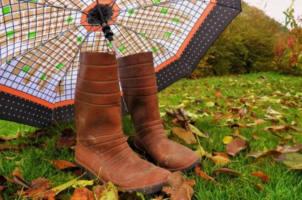    В Тверскую область придёт дождливая осенняя погода