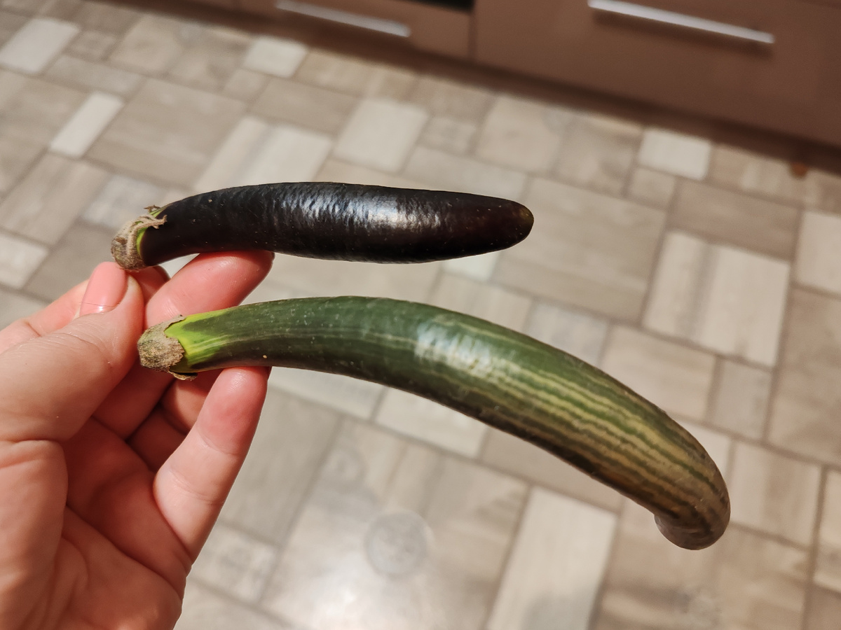 Фото автора канала. 