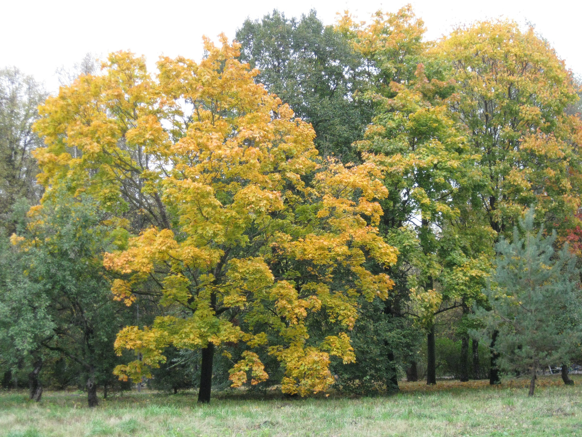 Фото автора.