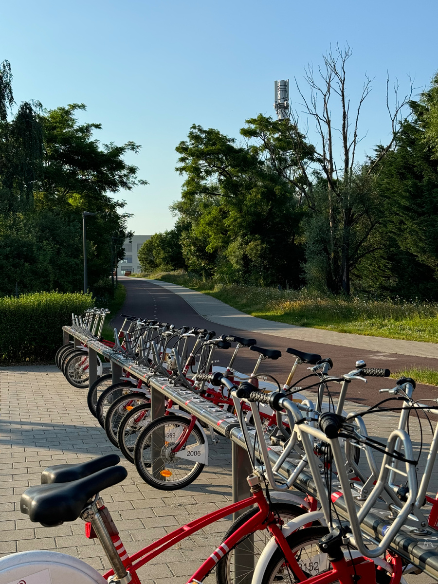 В городе установлено 306 станций с 4,2к байками, так что найти велосипед будет не сложно.  