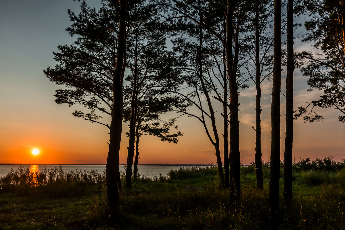 Река Обь. Новосибирская область, Западная Сибирь. 2024 год.