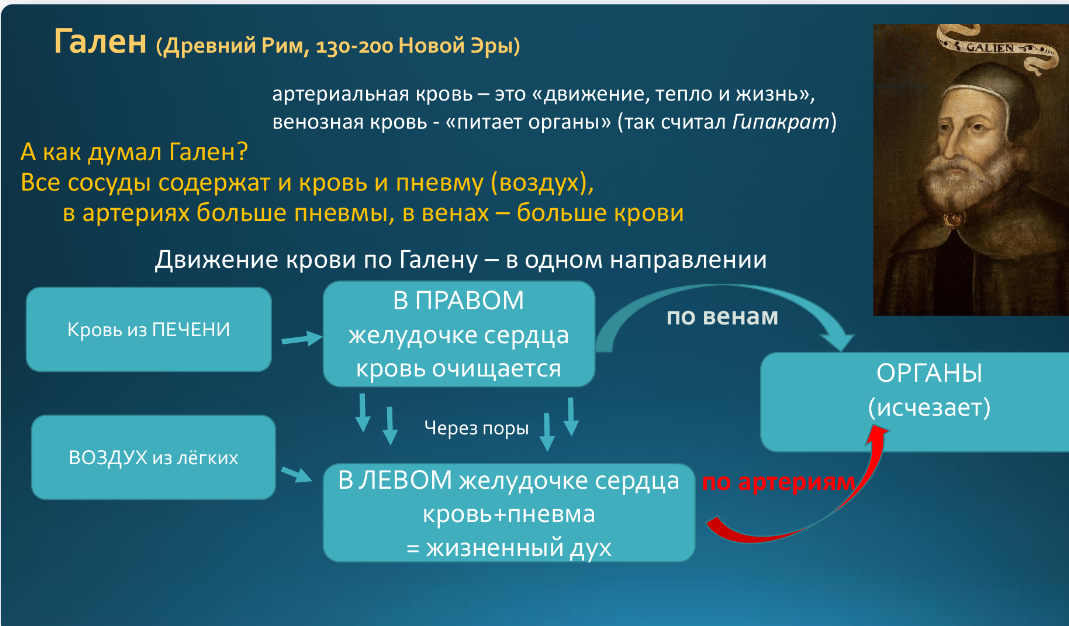 Именно эта теория позволяла лечить болезни кровопусканием: выпускали "дурную" кровь. Этот способ применялся до XIX века включительно. Схема взята из презентации Титовой М.А. "Круги кровообращения. Исторические аспекты их открытия". 