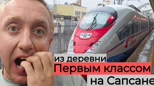 Первый раз в жизни еду на Сапсане в Питер Первым классом. За что так дорого?