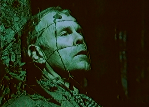 Режиссёр: Ларс Фон Триер. 1982. Дания.