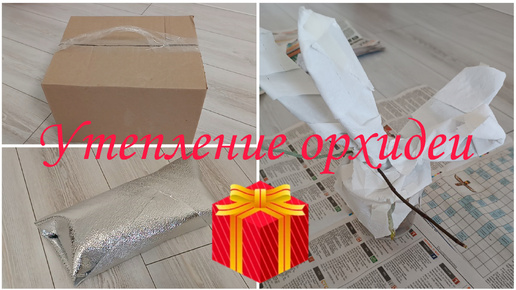 УТЕПЛЯЮ орхидею для ОТПРАВКИ ПОЧТОЙ 📦