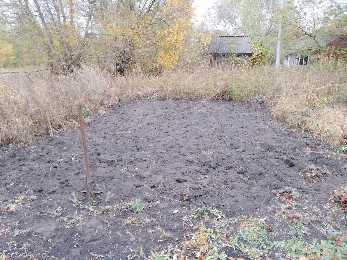 Вот на этом кусочке чеснок посадили. 