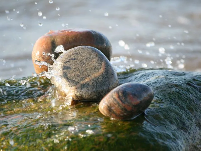 Из открытых источников