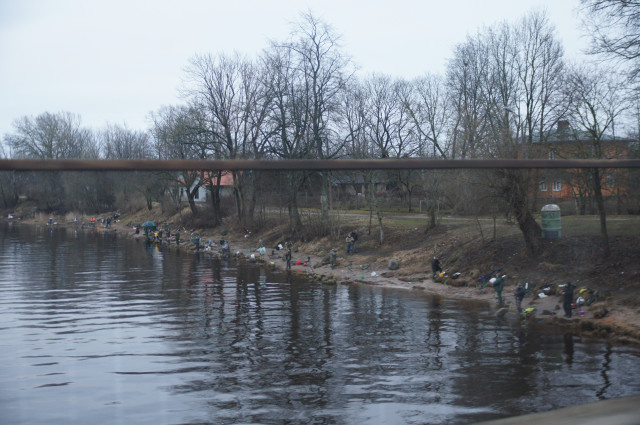 Рыболовы на р. Салаца, Латвия. Фото: https://mixfish.livejournal.com/4439.html