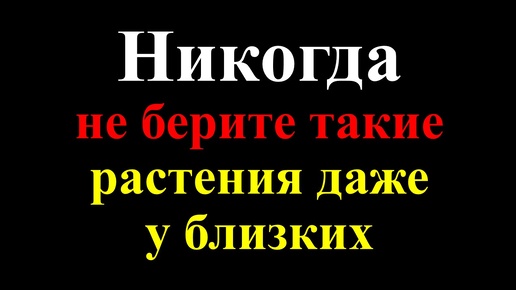 Никогда не берите такие растения даже у близких, иначе будете беднеть и болеть