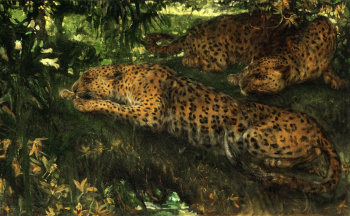 Джон Макаллан Суон. В засаде