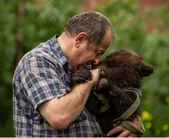 Яндекс картинки