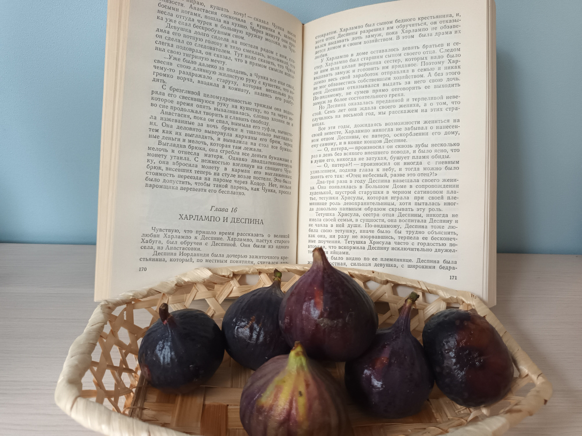 Глава "Харлампо и Деспина"