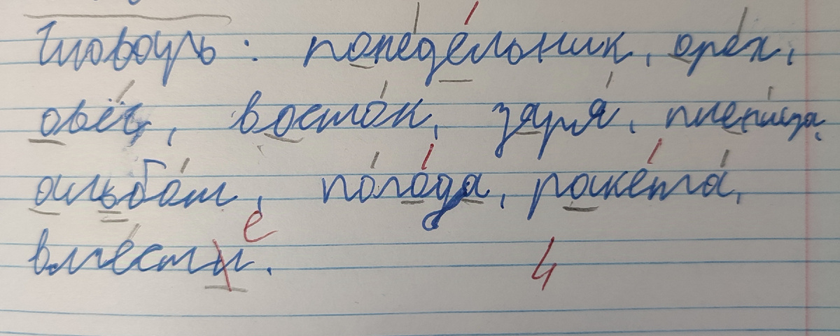 Словарный диктант.  Учитель очень попросил писать его разборчиво.